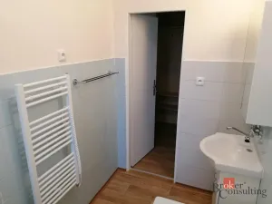 Pronájem bytu 1+1, Ostrava - Přívoz, Newtonova, 42 m2