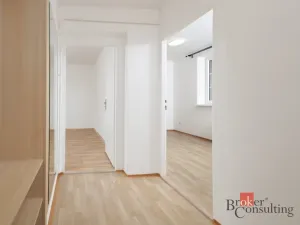 Pronájem bytu 1+1, Ostrava - Přívoz, Newtonova, 42 m2