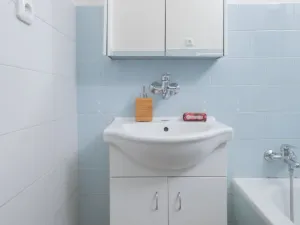 Pronájem bytu 1+1, Ostrava - Přívoz, Newtonova, 42 m2