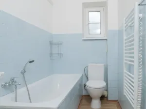 Pronájem bytu 1+1, Ostrava - Přívoz, Newtonova, 42 m2