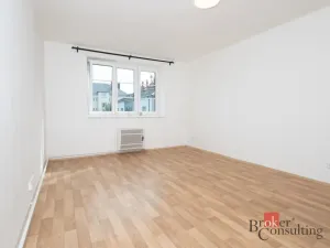 Pronájem bytu 1+1, Ostrava - Přívoz, Newtonova, 42 m2