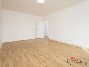 Pronájem bytu 1+1, Ostrava - Přívoz, Newtonova, 42 m2