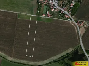 Prodej podílu 1/2 pole, Bojanovice, 35449 m2