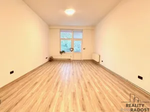Pronájem bytu 1+kk, Olomouc - Hodolany, Březinova, 46 m2