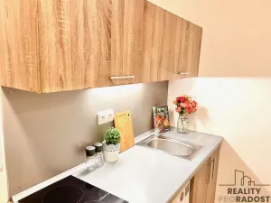 Pronájem bytu 1+kk, Olomouc - Hodolany, Březinova, 46 m2