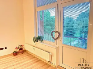 Pronájem bytu 1+kk, Olomouc - Hodolany, Březinova, 46 m2