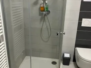 Pronájem bytu 1+kk, Prostějov, Winklerova, 39 m2