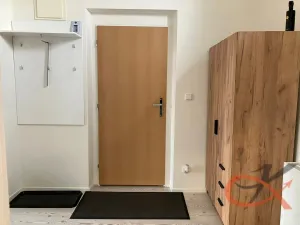 Pronájem bytu 1+kk, Prostějov, Winklerova, 39 m2