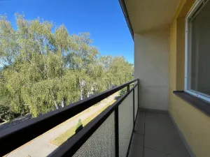 Pronájem bytu 2+1, Rájec-Jestřebí, Komenského, 56 m2