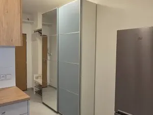 Pronájem bytu 1+kk, Praha - Vinohrady, Bruselská, 33 m2