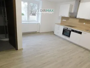 Pronájem bytu 1+1, Plzeň - Severní Předměstí, Dělnická, 42 m2