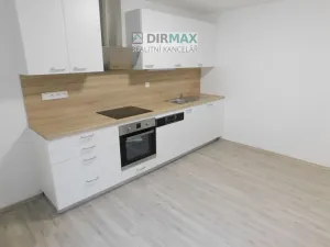 Pronájem bytu 1+1, Plzeň - Severní Předměstí, Dělnická, 42 m2
