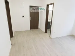 Pronájem bytu 1+1, Plzeň - Severní Předměstí, Dělnická, 42 m2
