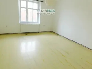 Pronájem bytu 1+1, Plzeň - Doudlevce, Révová, 48 m2