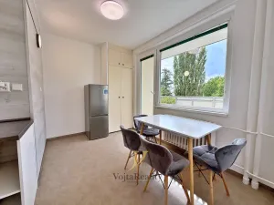 Pronájem bytu 1+1, Olomouc, Pionýrská, 44 m2