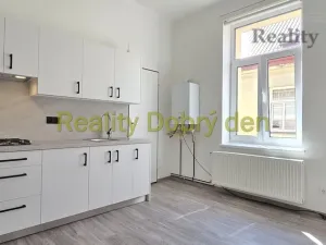 Pronájem bytu 1+1, Opava, Sokolovská, 42 m2