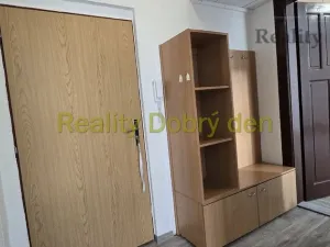 Pronájem bytu 1+1, Opava, Sokolovská, 42 m2