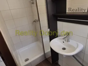 Pronájem bytu 1+1, Opava, Sokolovská, 42 m2