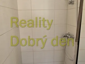 Pronájem bytu 1+1, Opava, Sokolovská, 42 m2
