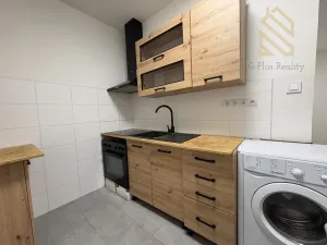 Pronájem bytu 2+1, Litvínov - Janov, Kopistská, 37 m2