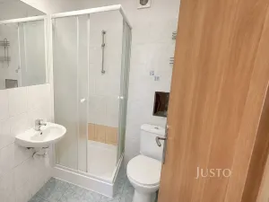 Pronájem bytu 1+1, Písek - Budějovické Předměstí, Budějovická, 50 m2