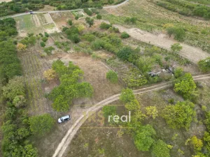 Prodej zahrady, Hustopeče, 3741 m2