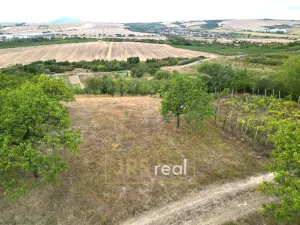 Prodej zahrady, Hustopeče, 3741 m2