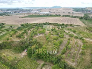 Prodej zahrady, Hustopeče, 3741 m2