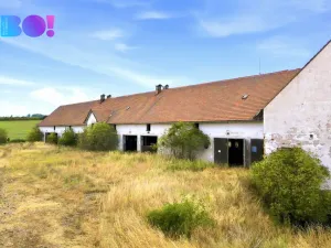 Prodej zemědělského objektu, Vícenice, 5810 m2