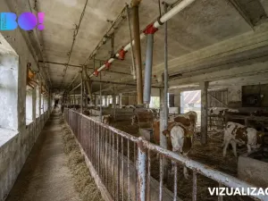 Prodej zemědělského objektu, Vícenice, 5810 m2