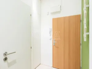 Pronájem bytu 2+kk, Praha - Holešovice, Na Maninách, 48 m2
