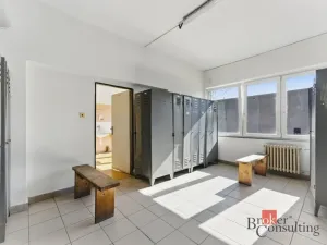 Pronájem výrobních prostor, Hradec Králové - Slezské Předměstí, Výrobní, 1059 m2