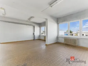 Pronájem výrobních prostor, Hradec Králové - Slezské Předměstí, Výrobní, 1059 m2