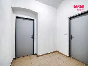 Prodej obchodního prostoru, Plzeň - Jižní Předměstí, Koperníkova, 46 m2