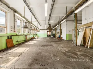 Pronájem skladu, Děčín, Rudolfova, 47 m2