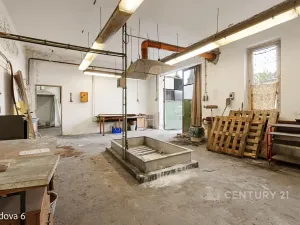Pronájem skladu, Děčín, Rudolfova, 47 m2