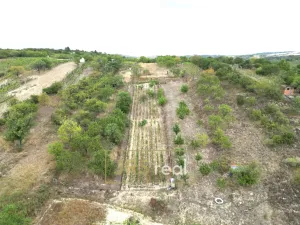 Prodej pozemku, Hustopeče, 990 m2