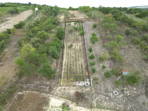 Prodej pozemku, Hustopeče, 990 m2