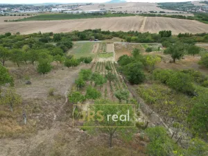 Prodej pozemku, Hustopeče, 990 m2