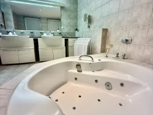 Pronájem vily, Zlín - Malenovice, Kamenec, 650 m2
