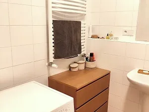 Pronájem bytu 1+kk, Praha - Krč, Panuškova, 44 m2
