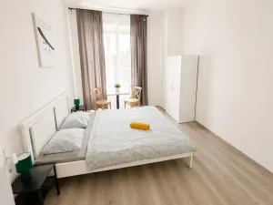 Pronájem ubytování, Praha, Seifertova, 342 m2