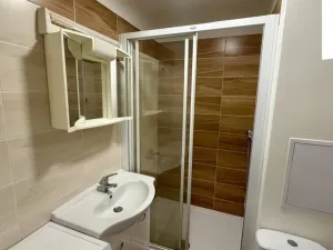 Pronájem bytu 1+kk, Ústí nad Labem - Ústí nad Labem-centrum, Malátova, 22 m2