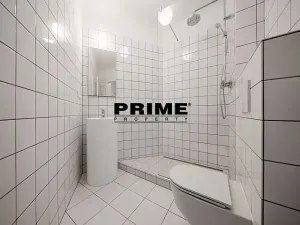 Pronájem bytu 5+1, Praha - Vinohrady, Italská, 255 m2