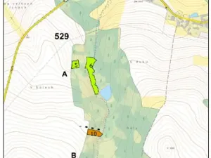Prodej lesa, Lukavec, 4768 m2