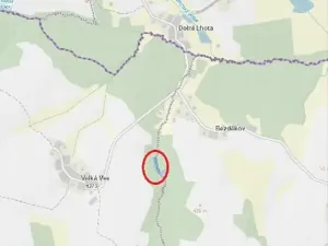 Prodej lesa, Lukavec, 4768 m2