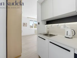 Pronájem bytu 2+kk, Brno, Bzenecká, 39 m2