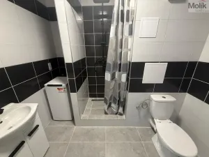 Pronájem bytu 1+1, Most, Javorová, 34 m2