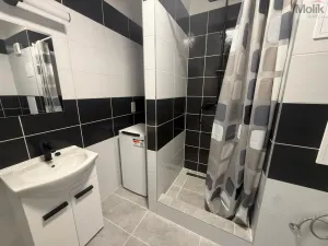 Pronájem bytu 1+1, Most, Javorová, 34 m2