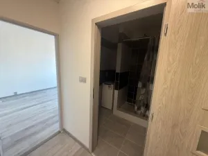 Pronájem bytu 1+1, Most, Javorová, 34 m2